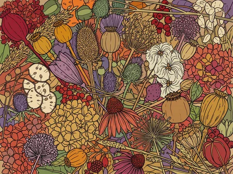 Dried Seed Pods and Autumn Blooms