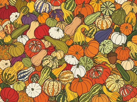 Heap of Autumn Gourds and Squashes