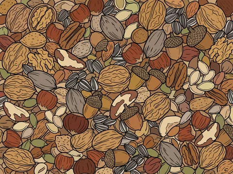 Heap of Mixed Nuts and Seeds