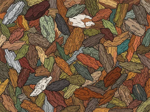 Colorful Bark Fragments Scattered