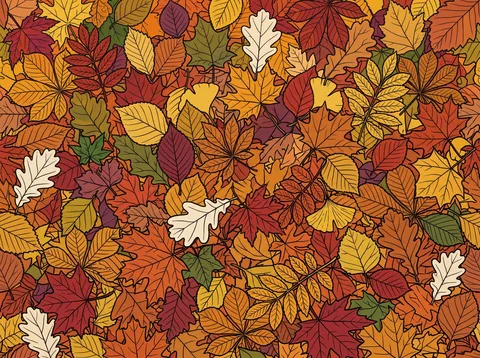 Autumn Leaves in Full Color